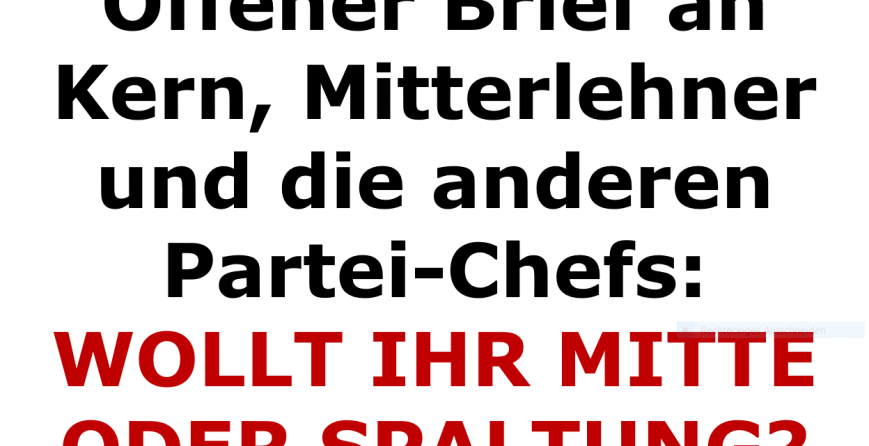 politiker-und-regierung-aufgewacht-wer-den-mittelstand-auf-seiner-seite-hat-kann-die-naechste-nationalratswahl-gewinnen