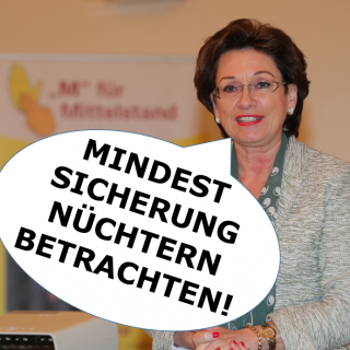 mindestsicherung-nuechtern-betrachten