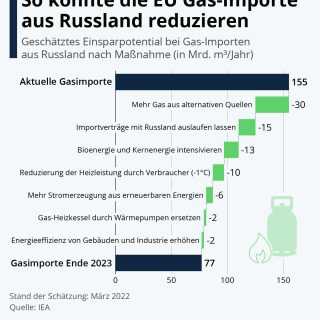 gasimporte-aus-russland-reduzieren-aber-wie
